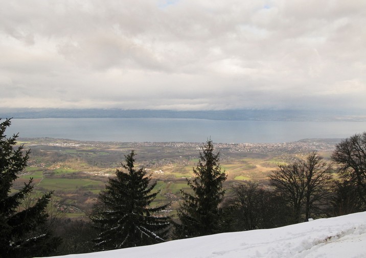 [Vue sur le Lman]