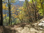 [Couleurs d'automne.]