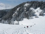 [Col de l'Alienard]