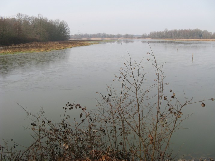 [Etang de Vavres]