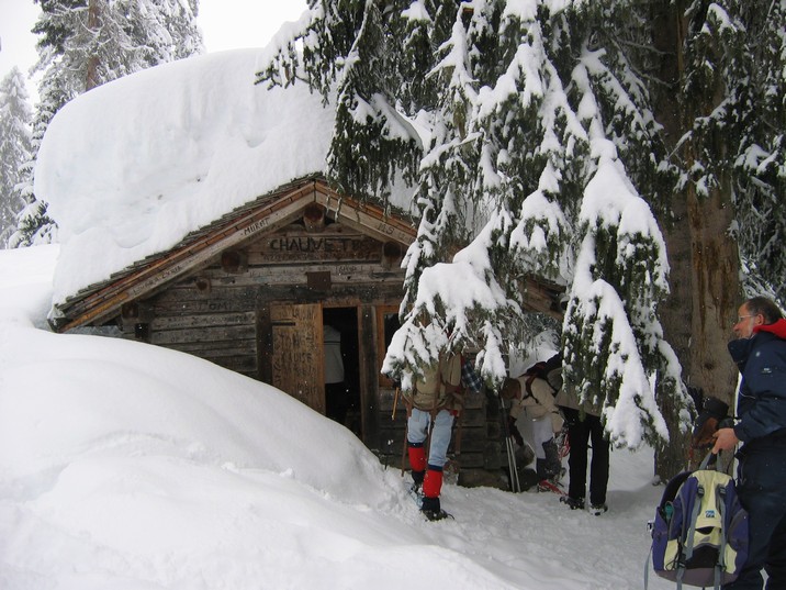 [La cabane forestire]