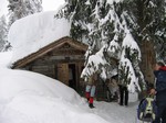 [La cabane forestire]