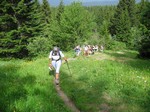 [Vers le Col de l'Arc]